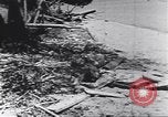 Image of personal camouflage Pacific Theater, 1941, second 58 stock footage video 65675074820