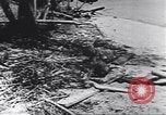 Image of personal camouflage Pacific Theater, 1941, second 60 stock footage video 65675074820