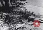 Image of personal camouflage Pacific Theater, 1941, second 61 stock footage video 65675074820