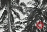 Image of Colonel Evans Carlson Guadalcanal Solomon Islands, 1942, second 50 stock footage video 65675074833