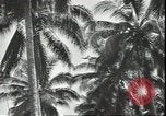 Image of Colonel Evans Carlson Guadalcanal Solomon Islands, 1942, second 51 stock footage video 65675074833
