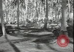 Image of Colonel Evans Carlson Guadalcanal Solomon Islands, 1942, second 53 stock footage video 65675074833