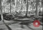 Image of Colonel Evans Carlson Guadalcanal Solomon Islands, 1942, second 54 stock footage video 65675074833