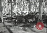 Image of Colonel Evans Carlson Guadalcanal Solomon Islands, 1942, second 57 stock footage video 65675074833