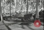 Image of Colonel Evans Carlson Guadalcanal Solomon Islands, 1942, second 58 stock footage video 65675074833