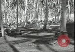 Image of Colonel Evans Carlson Guadalcanal Solomon Islands, 1942, second 59 stock footage video 65675074833
