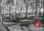 Image of Colonel Evans Carlson Guadalcanal Solomon Islands, 1942, second 60 stock footage video 65675074833