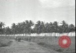 Image of U.S. Marines in Pacific Theater in World War II Guadalcanal Solomon Islands, 1942, second 8 stock footage video 65675074834