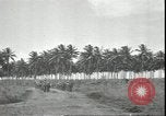 Image of U.S. Marines in Pacific Theater in World War II Guadalcanal Solomon Islands, 1942, second 10 stock footage video 65675074834