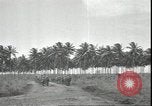 Image of U.S. Marines in Pacific Theater in World War II Guadalcanal Solomon Islands, 1942, second 12 stock footage video 65675074834