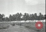 Image of U.S. Marines in Pacific Theater in World War II Guadalcanal Solomon Islands, 1942, second 13 stock footage video 65675074834