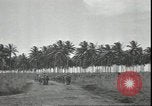 Image of U.S. Marines in Pacific Theater in World War II Guadalcanal Solomon Islands, 1942, second 14 stock footage video 65675074834