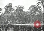 Image of U.S. Marines in Pacific Theater in World War II Guadalcanal Solomon Islands, 1942, second 15 stock footage video 65675074834