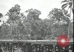 Image of U.S. Marines in Pacific Theater in World War II Guadalcanal Solomon Islands, 1942, second 19 stock footage video 65675074834