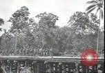 Image of U.S. Marines in Pacific Theater in World War II Guadalcanal Solomon Islands, 1942, second 21 stock footage video 65675074834