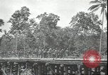 Image of U.S. Marines in Pacific Theater in World War II Guadalcanal Solomon Islands, 1942, second 24 stock footage video 65675074834