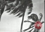 Image of U.S. Marines in Pacific Theater in World War II Guadalcanal Solomon Islands, 1942, second 47 stock footage video 65675074834