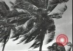 Image of U.S. Marines in Pacific Theater in World War II Guadalcanal Solomon Islands, 1942, second 48 stock footage video 65675074834