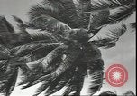 Image of U.S. Marines in Pacific Theater in World War II Guadalcanal Solomon Islands, 1942, second 50 stock footage video 65675074834