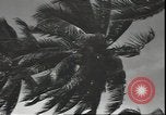 Image of U.S. Marines in Pacific Theater in World War II Guadalcanal Solomon Islands, 1942, second 52 stock footage video 65675074834