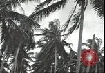 Image of U.S. Marines in Pacific Theater in World War II Guadalcanal Solomon Islands, 1942, second 60 stock footage video 65675074834