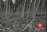 Image of U.S. Marines in Pacific Theater in World War II Guadalcanal Solomon Islands, 1942, second 62 stock footage video 65675074834