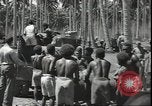 Image of Marines Guadalcanal Solomon Islands, 1942, second 54 stock footage video 65675074835