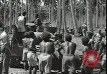 Image of Marines Guadalcanal Solomon Islands, 1942, second 55 stock footage video 65675074835