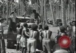 Image of Marines Guadalcanal Solomon Islands, 1942, second 57 stock footage video 65675074835