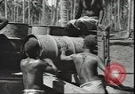 Image of Marines Guadalcanal Solomon Islands, 1942, second 59 stock footage video 65675074835