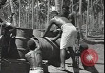 Image of Marines Guadalcanal Solomon Islands, 1942, second 61 stock footage video 65675074835