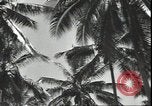 Image of American Marine Corps Officers Guadalcanal Solomon Islands, 1942, second 58 stock footage video 65675074836