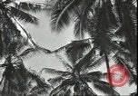 Image of American Marine Corps Officers Guadalcanal Solomon Islands, 1942, second 59 stock footage video 65675074836