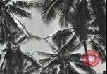 Image of American Marine Corps Officers Guadalcanal Solomon Islands, 1942, second 60 stock footage video 65675074836