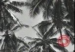 Image of American Marine Corps Officers Guadalcanal Solomon Islands, 1942, second 61 stock footage video 65675074836