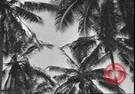 Image of American Marine Corps Officers Guadalcanal Solomon Islands, 1942, second 62 stock footage video 65675074836