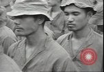 Image of Japanese prisoners Guadalcanal Solomon Islands, 1942, second 48 stock footage video 65675074837