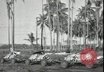 Image of Marines Guadalcanal Solomon Islands, 1942, second 4 stock footage video 65675074840