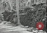 Image of Marines Guadalcanal Solomon Islands, 1942, second 37 stock footage video 65675074840
