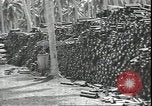 Image of Marines Guadalcanal Solomon Islands, 1942, second 39 stock footage video 65675074840