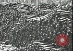 Image of Marines Guadalcanal Solomon Islands, 1942, second 40 stock footage video 65675074840