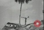 Standbild usMarines in der defensive Positionen Tulagi Salomonen, 1942, aus Sekunde 27 historischem Filmmaterial Videoclip 65675074841