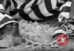 Image of chain gang Georgia United States USA, 1938, second 5 stock footage video 65675074852