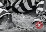 Image of chain gang Georgia United States USA, 1938, second 6 stock footage video 65675074852