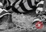 Image of chain gang Georgia United States USA, 1938, second 7 stock footage video 65675074852