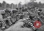 Image of chain gang Georgia United States USA, 1938, second 18 stock footage video 65675074852