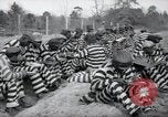 Image of chain gang Georgia United States USA, 1938, second 21 stock footage video 65675074852