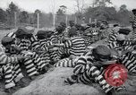 Image of chain gang Georgia United States USA, 1938, second 27 stock footage video 65675074852