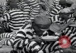 Image of chain gang Georgia United States USA, 1938, second 32 stock footage video 65675074852