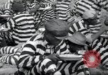Image of chain gang Georgia United States USA, 1938, second 38 stock footage video 65675074852